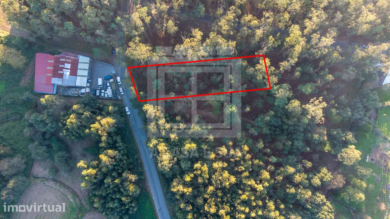 Lote com projeto aprovado para armazém em Cucujães - Grande imagem: 2/13