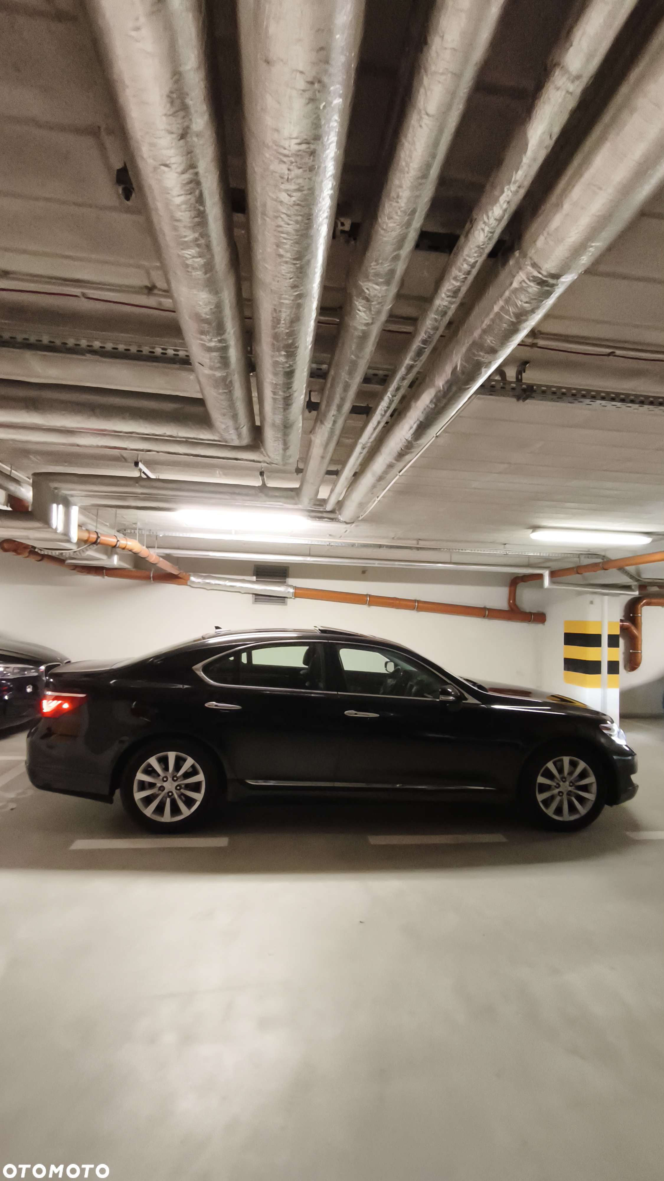 Lexus LS 460 Prestige - 2