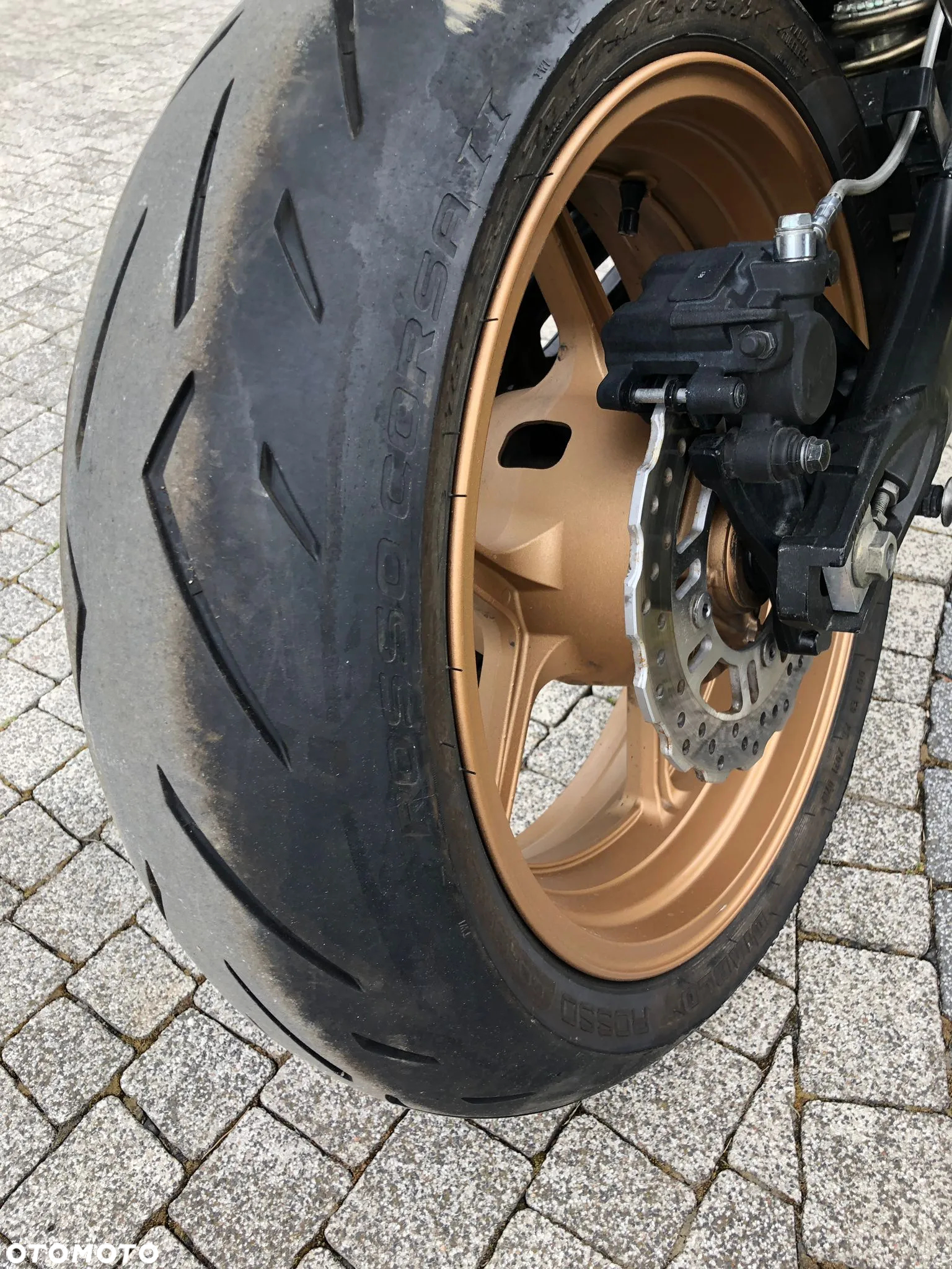 Kawasaki Z - 6