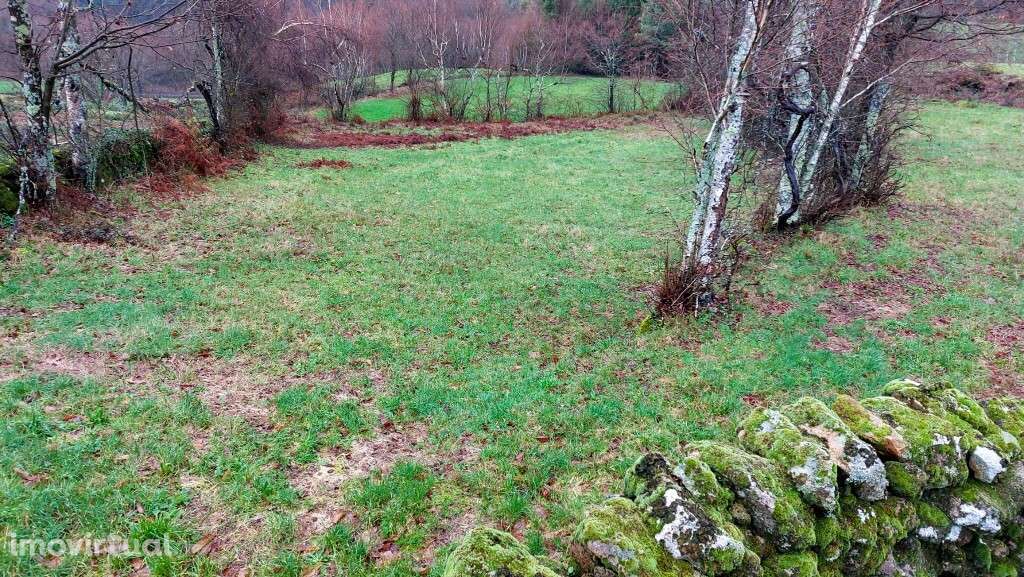 Terreno Rústico - Agra, Rossas - Grande imagem: 5/7