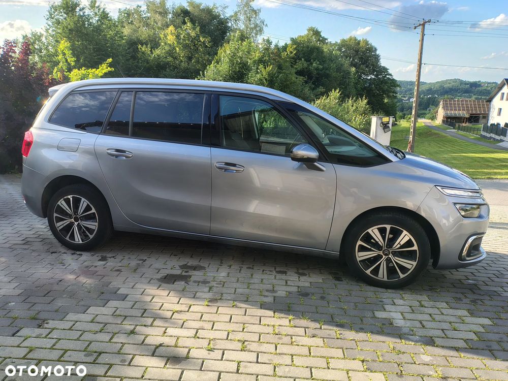 Citroën C4 SpaceTourer 1.5 BlueHDi More Life S&S EAT8 - 5