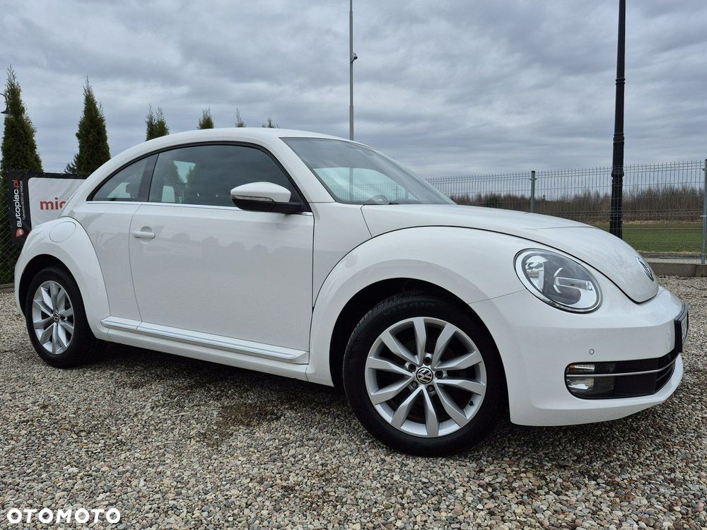 Volkswagen Beetle - 24