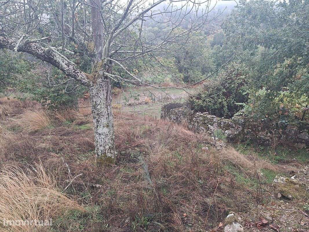 Terreno  para venda - Grande imagem: 2/4