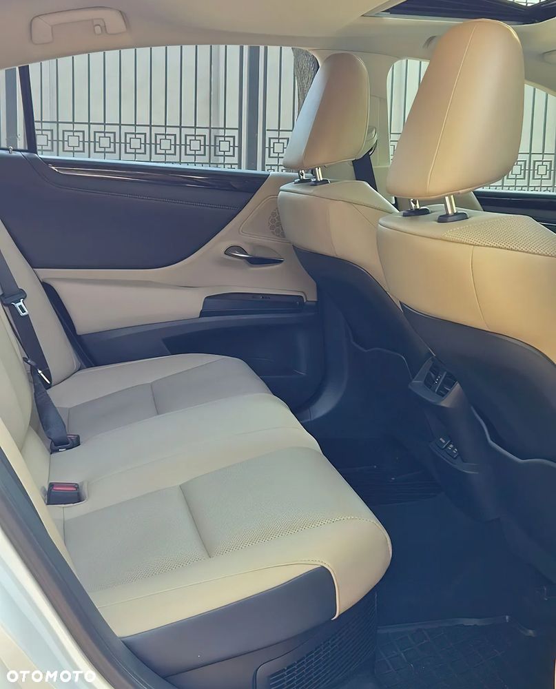 Lexus ES 300h - 13