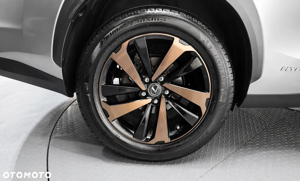 Lexus NX - 10