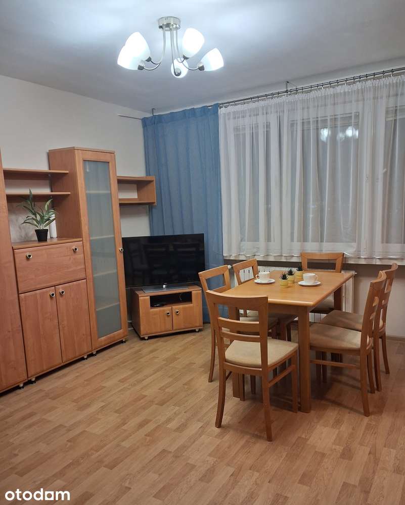 Do wynajęcia 4-pok., jasne i słoneczne mieszkanie z pięknym widokiem.