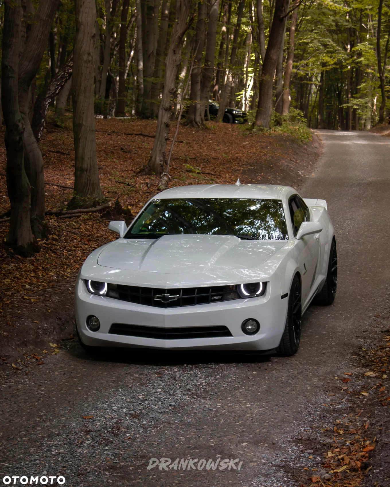 Chevrolet Camaro 3.6 V6 Coupe 2LT - 2