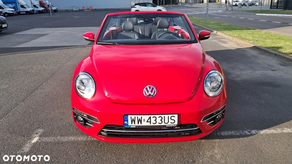 Volkswagen Beetle - 18