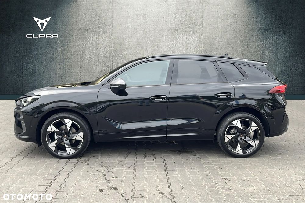 Cupra Terramar - 2