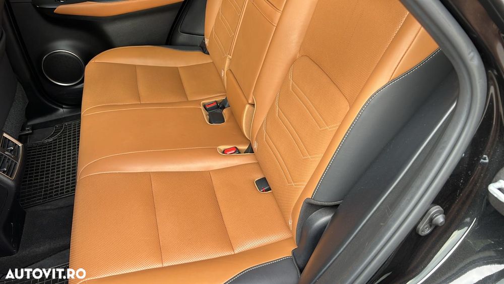 Lexus Seria NX 300h FWD Executive Plus Panorama - 6