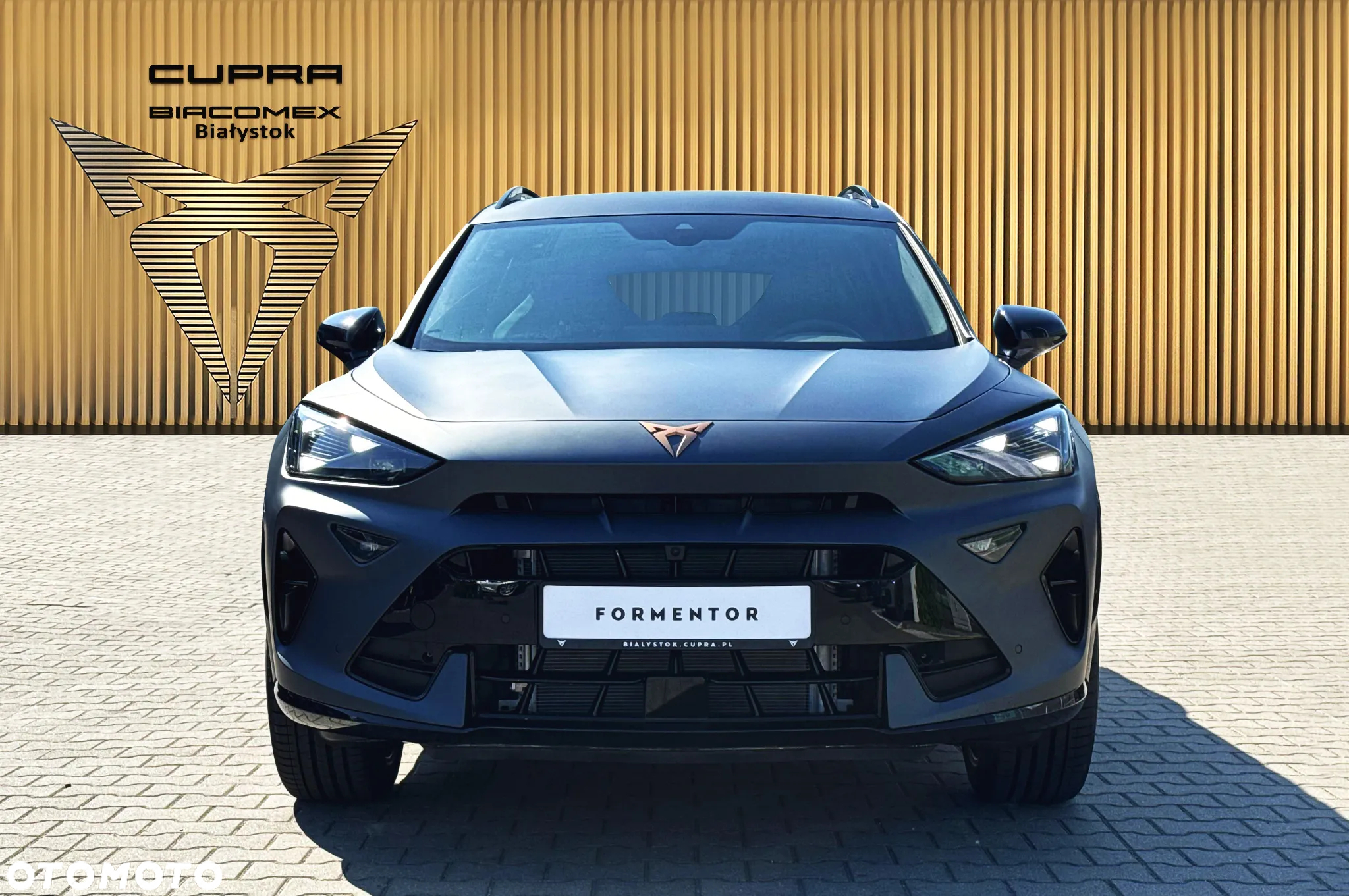 Cupra Formentor 1.5 TSI DSG - 9
