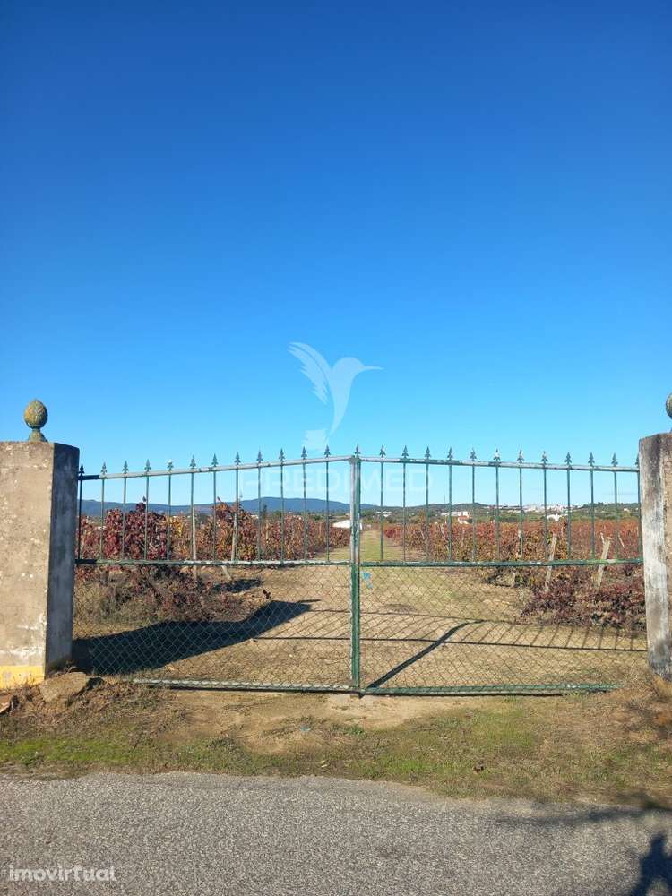 QUINTA AGRICOLA - Grande imagem: 3/11