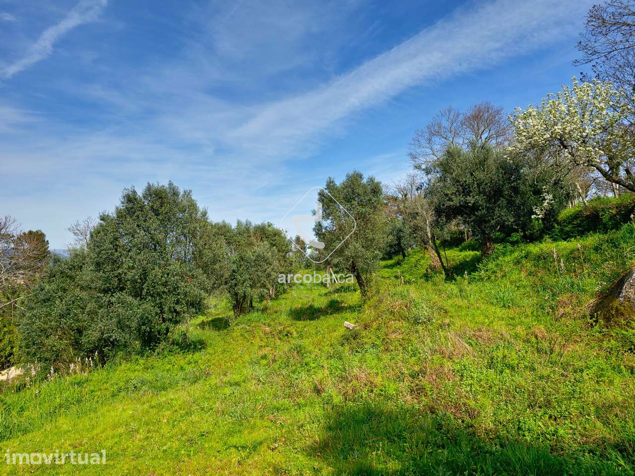 Terreno agrícola com 10.000mt2 com vista - Gemieira - Ponte de Lima - Grande imagem: 5/10
