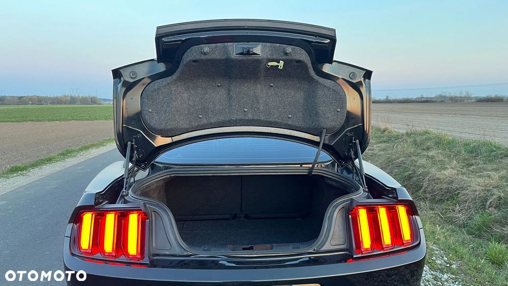 Ford Mustang 3.7 V6 - 21