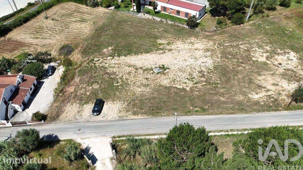 Terreno para construção em São João da Ribeira e Ribeira de São João - Grande imagem: 3/30