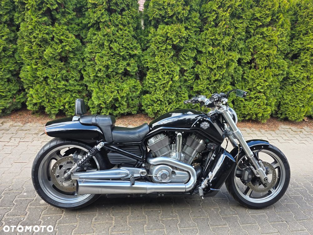 Harley-Davidson V-Rod Muscle - 2