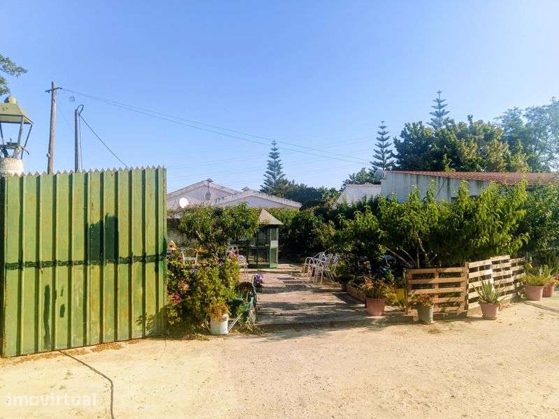 Quinta com 12000 m2 na Quinta do Anjo - venda a pronto pagamento - Grande imagem: 2/8