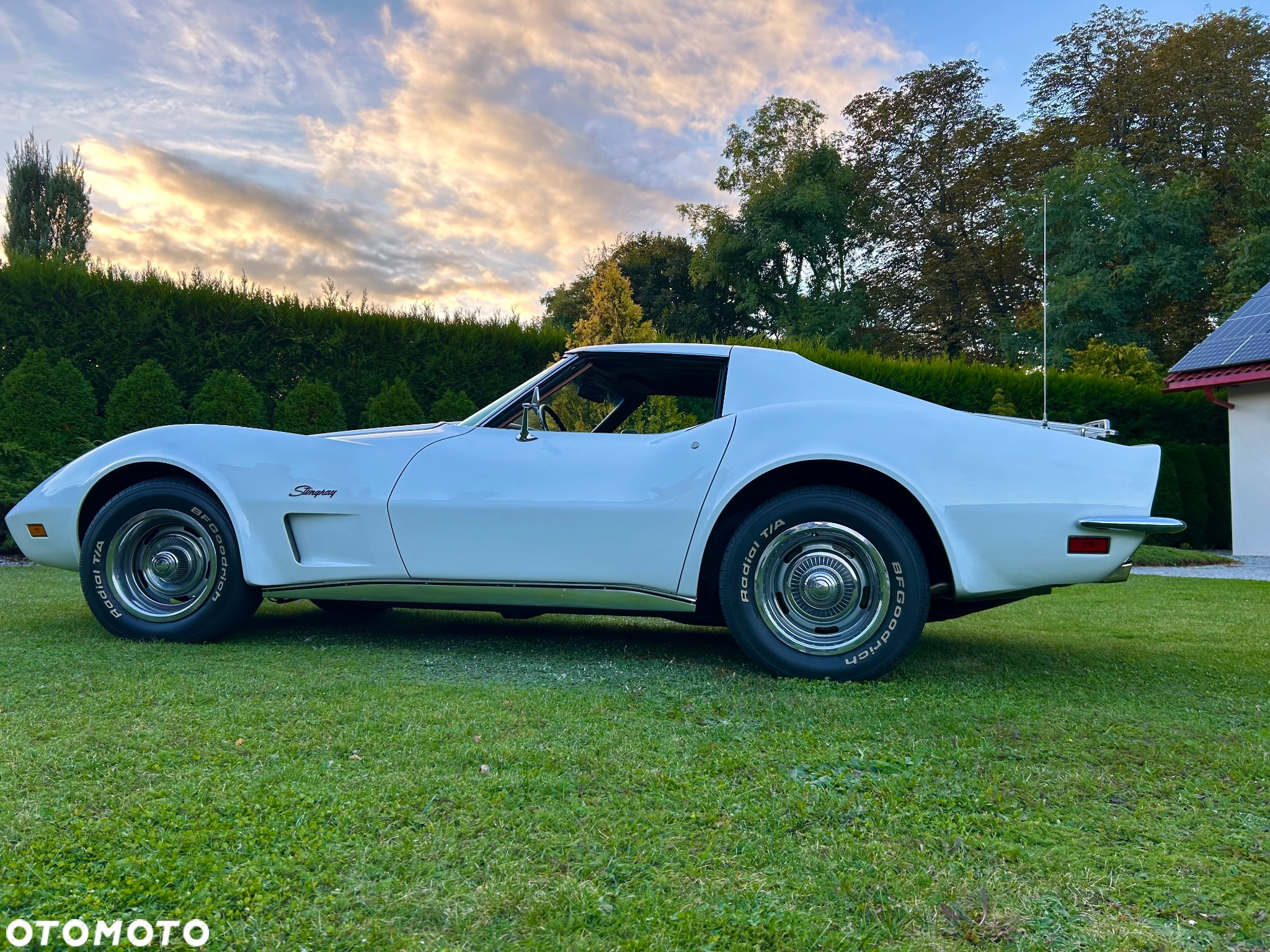 Chevrolet Corvette - 17