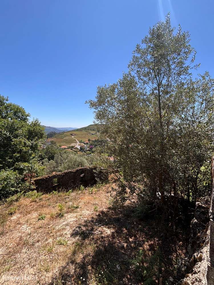 Propriedade com ruína e 1866m2 de terreno - Grande imagem: 4/18