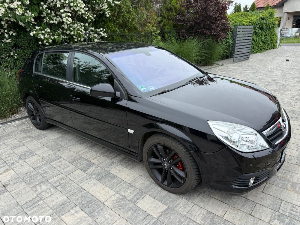 Opel Signum - 28