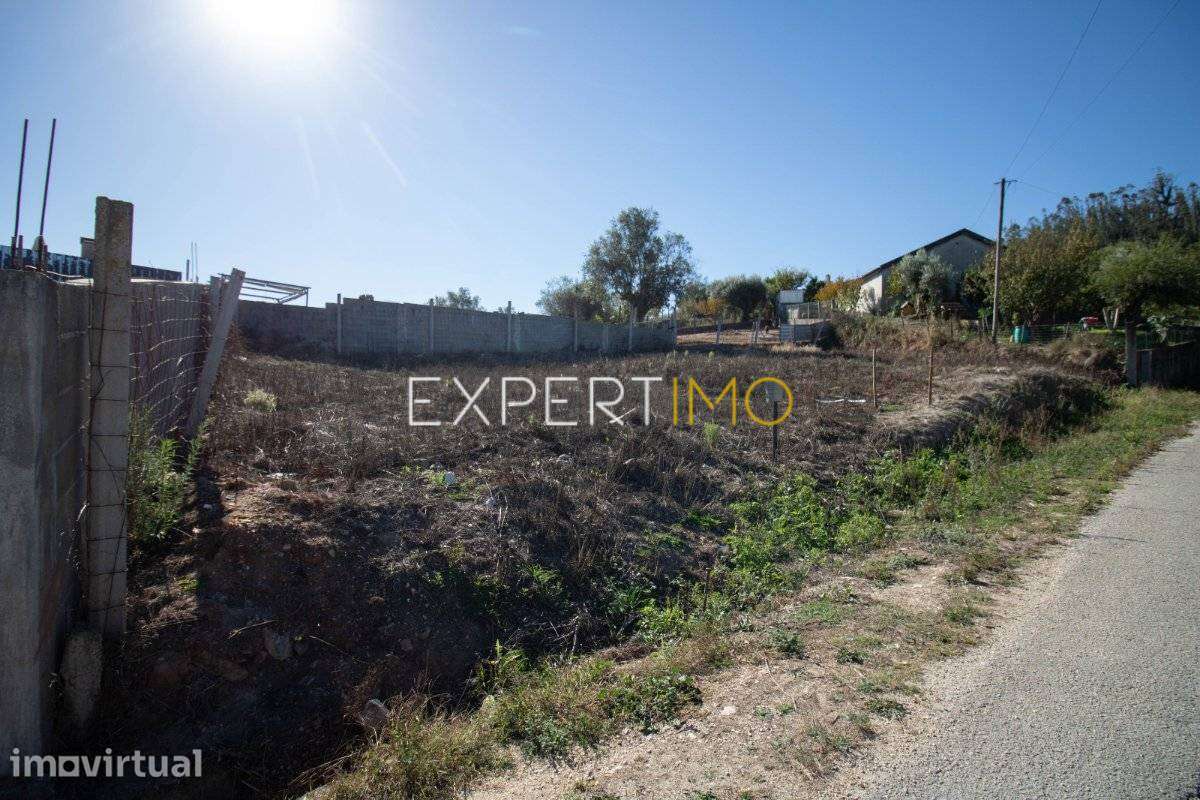 Terreno Urbano Melga Pombal - Grande imagem: 4/4