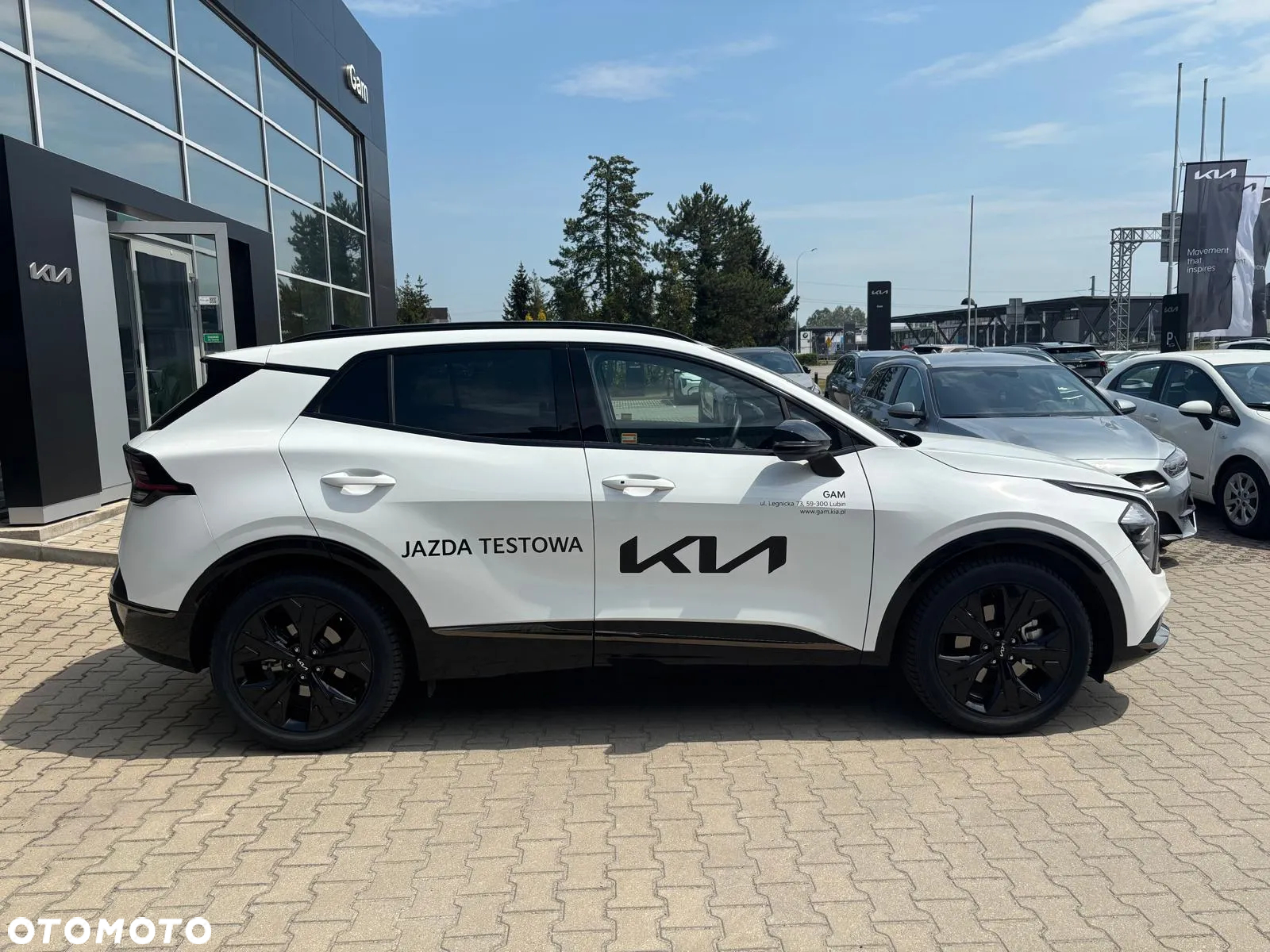 Kia Sportage 1.6 T-GDI Anniversary 2WD DCT - 6