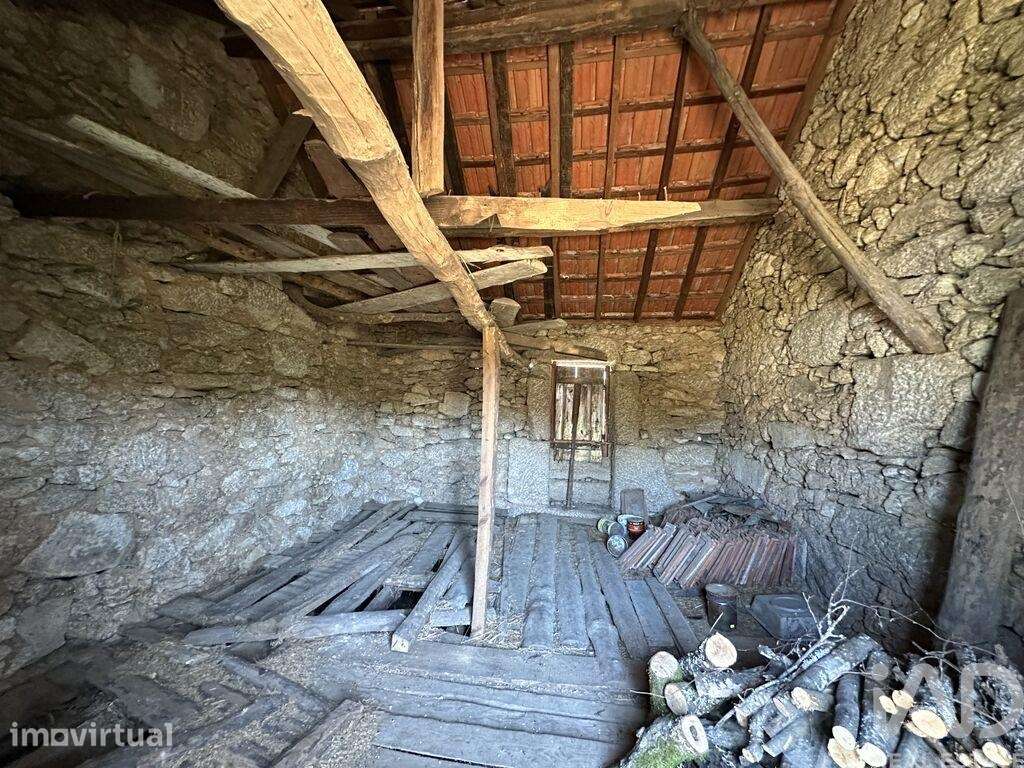 Terreno em Cunha Baixa - Grande imagem: 5/9