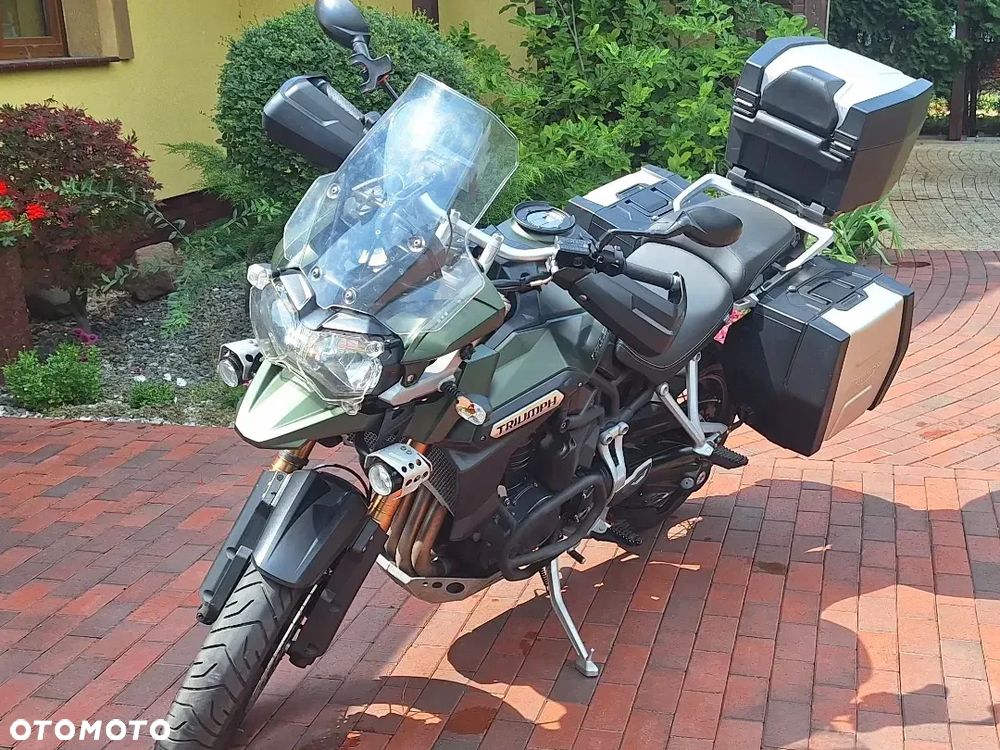 Triumph Tiger - 5
