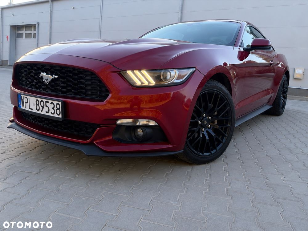 Ford Mustang - 19