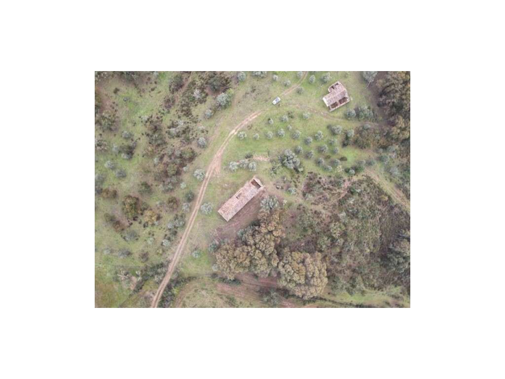 Herdade com 60ha em Grândola - Grande imagem: 4/28