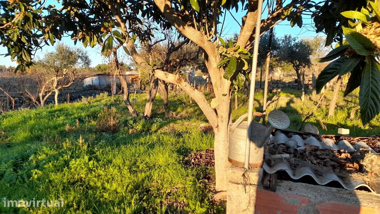 Quintinha  Venda em Escalos de Baixo e Mata,Castelo Branco - Grande imagem: 4/29