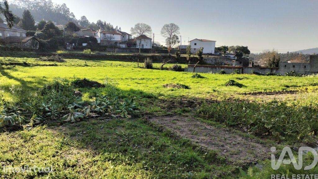 Terreno Agrícola em Fonte Arcada - Grande imagem: 3/40