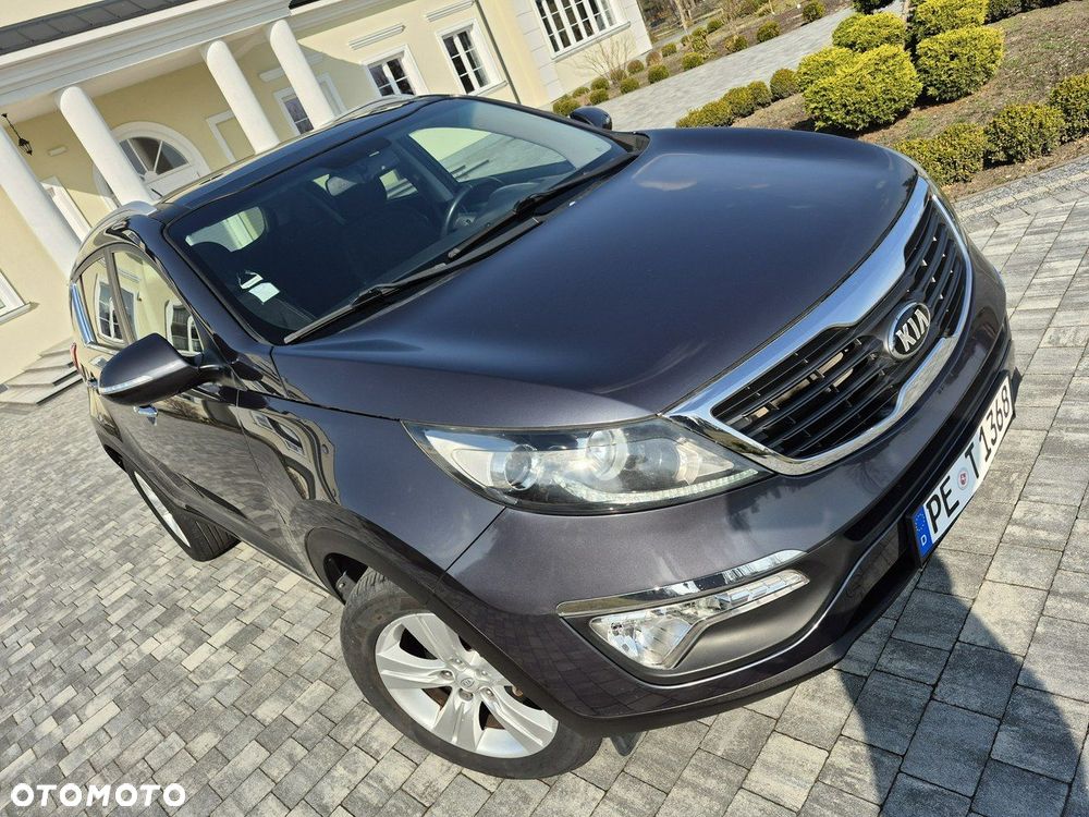 Kia Sportage - 11