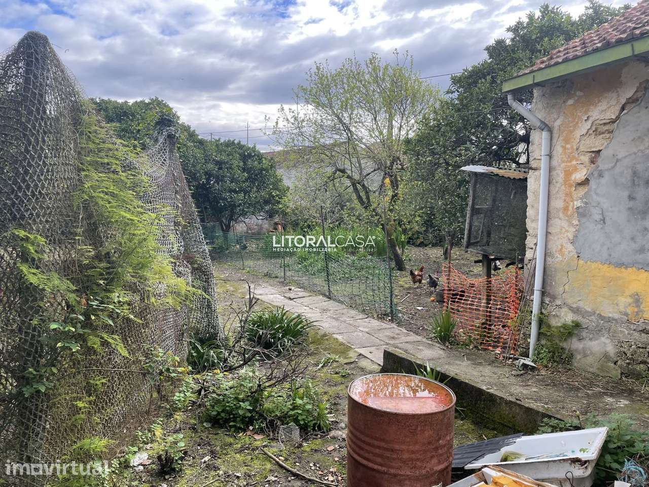 Terreno com 3.000 m²  – Excelente Oportunidade de Investimento - Grande imagem: 5/23