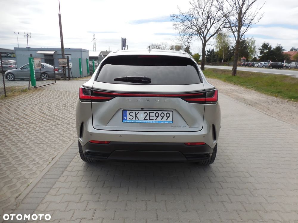Lexus NX - 6