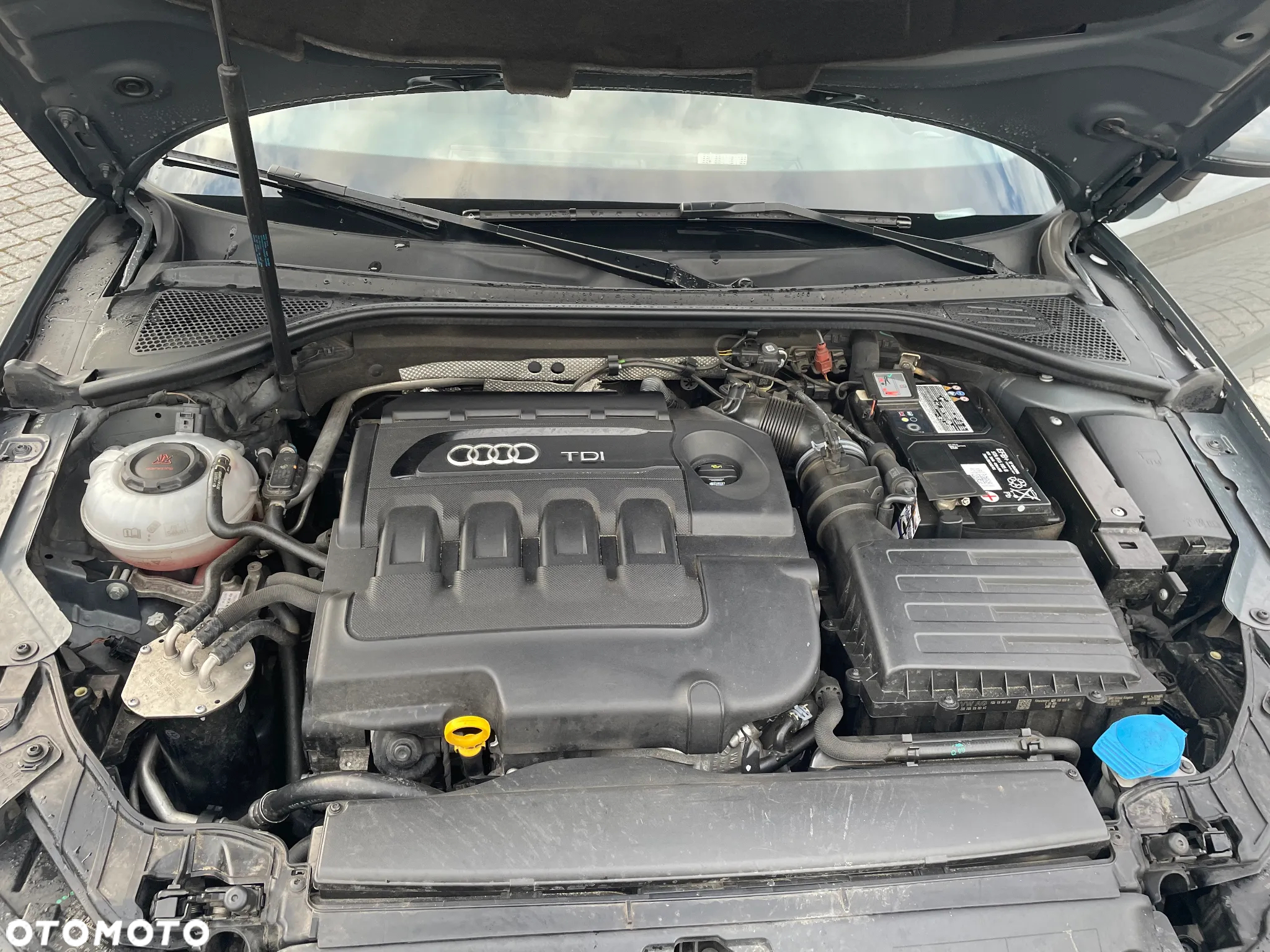 Audi A3 - 18