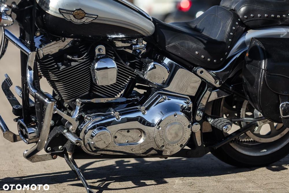 Harley-Davidson Softail - 3