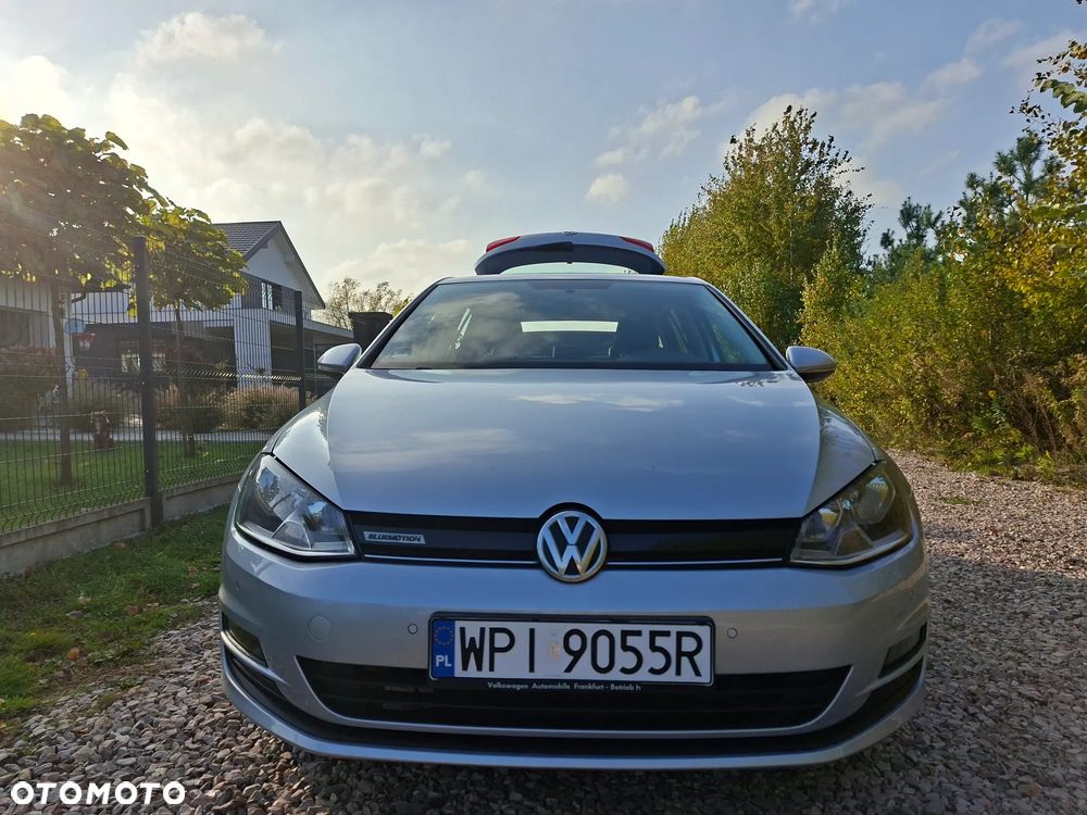 Volkswagen Golf - 9