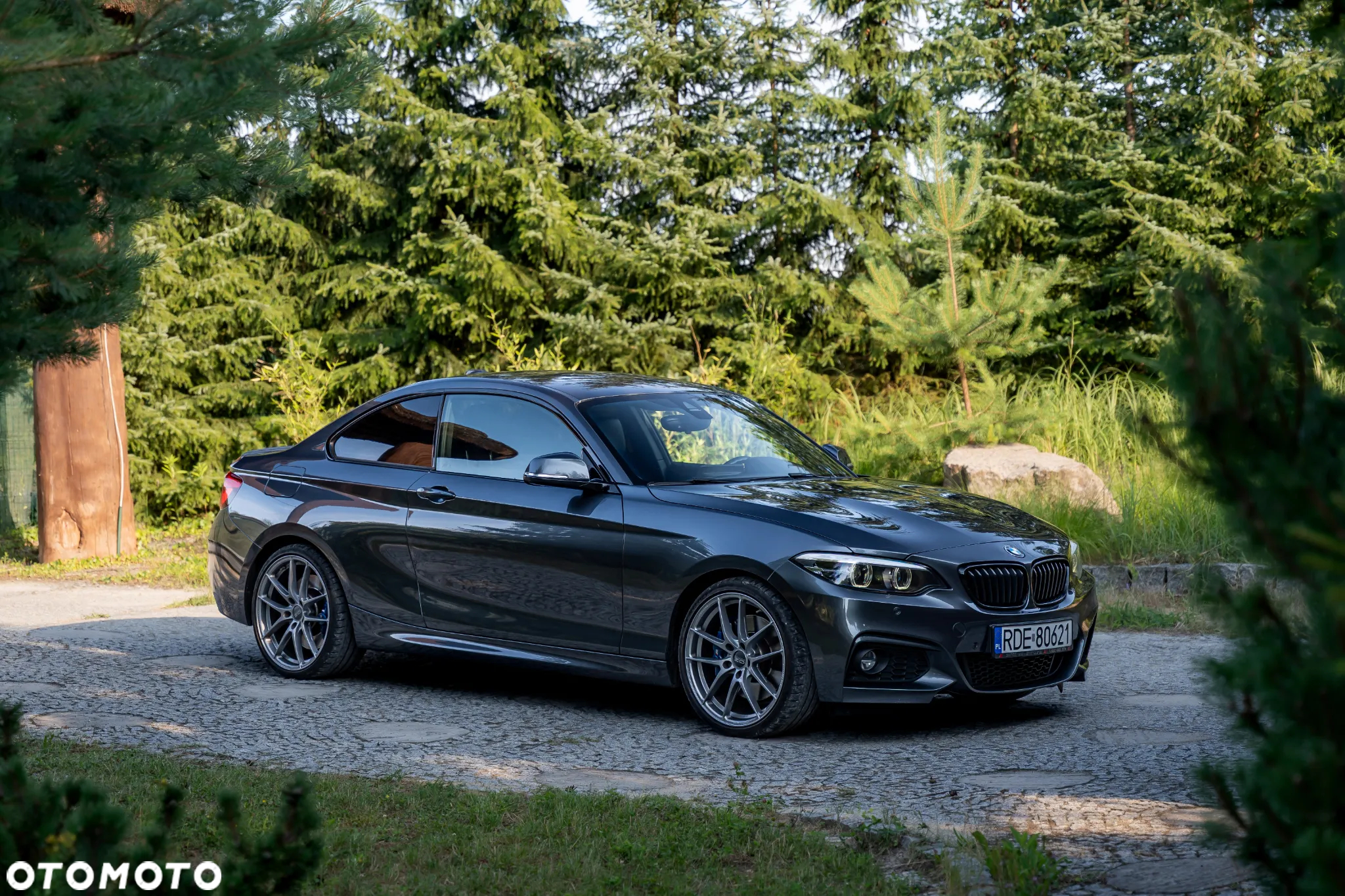 BMW Seria 2 220d M Sport - 2