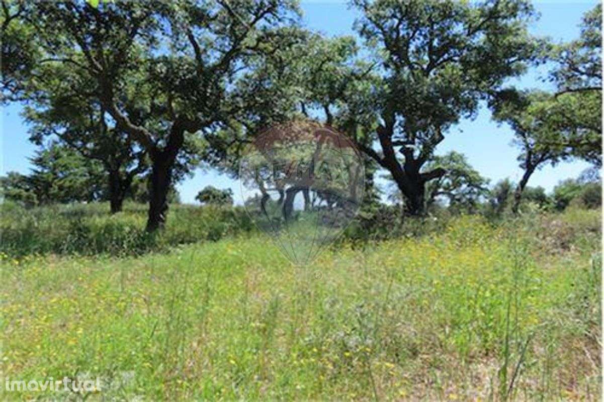 Quinta T0 para venda - Grande imagem: 4/18