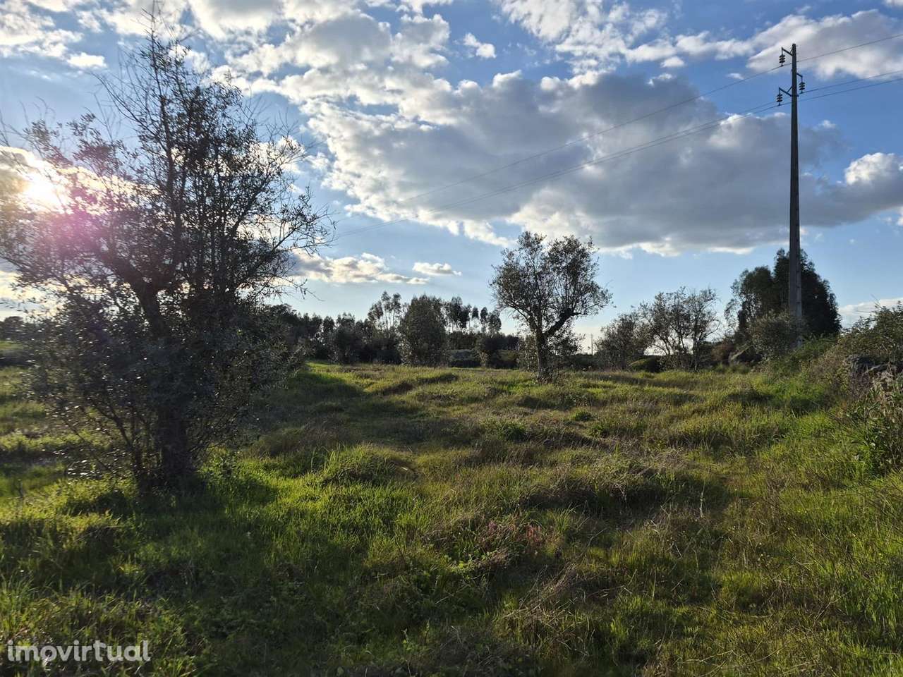 Terreno - Grande imagem: 5/7