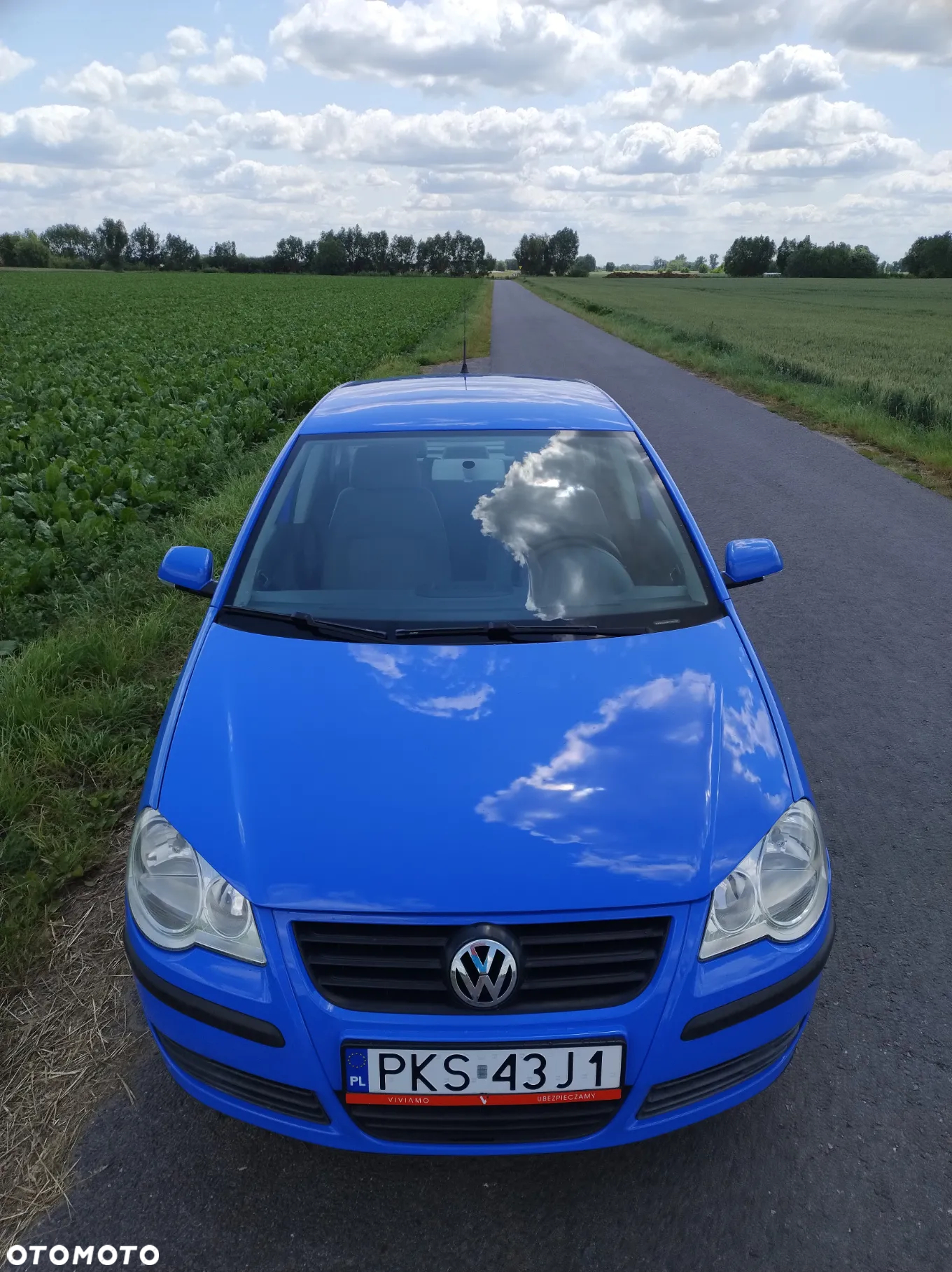 Volkswagen Polo - 4