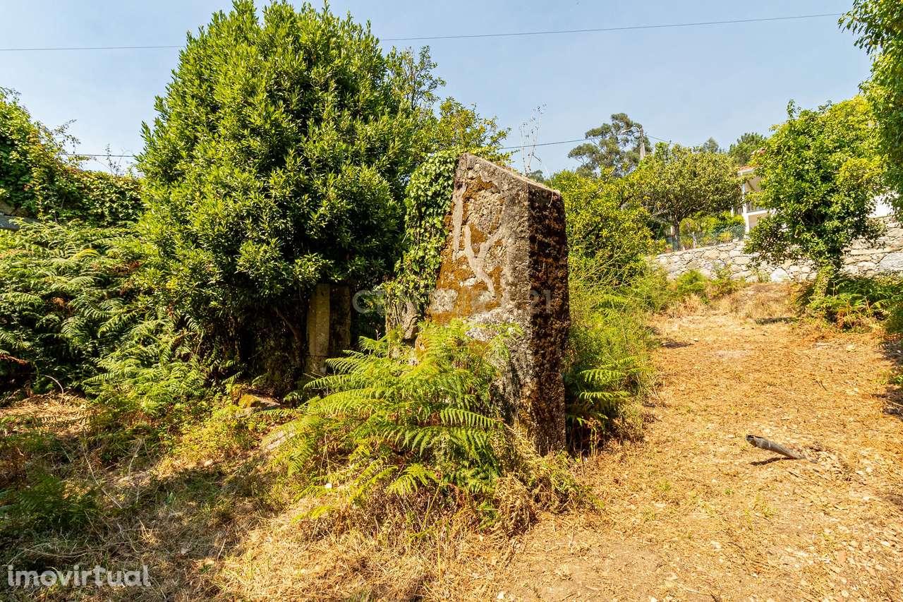lagar em Ruínas com Vista Panorâmica em Anais, Ponte de Lima - Grande imagem: 2/4