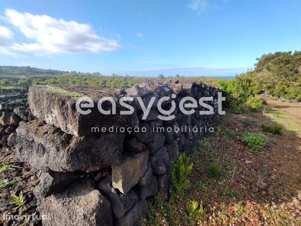 Terreno no 'coração' vitivinícola do Lajido de Santa Luzia no Pico - Grande imagem: 5/22