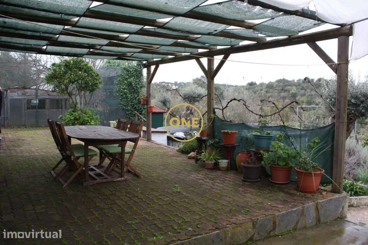 Moradia Térrea no Alentejo | Malarranha – Mora | Évora - Grande imagem: 5/24
