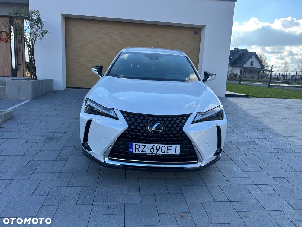 Lexus UX 250h GPF Business 2WD - 2