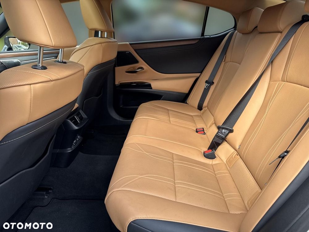 Lexus ES 300h Prestige - 9