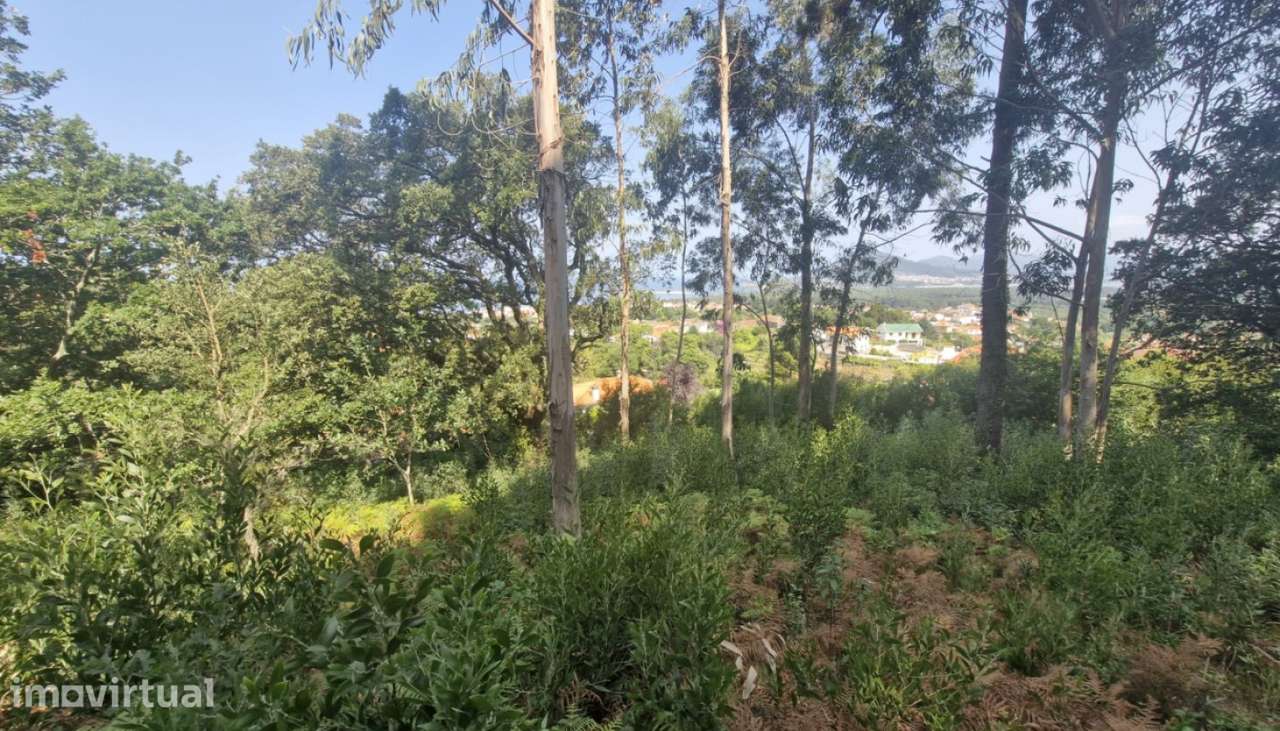 Terreno de construção para venda, Moledo, Caminha - Grande imagem: 4/9