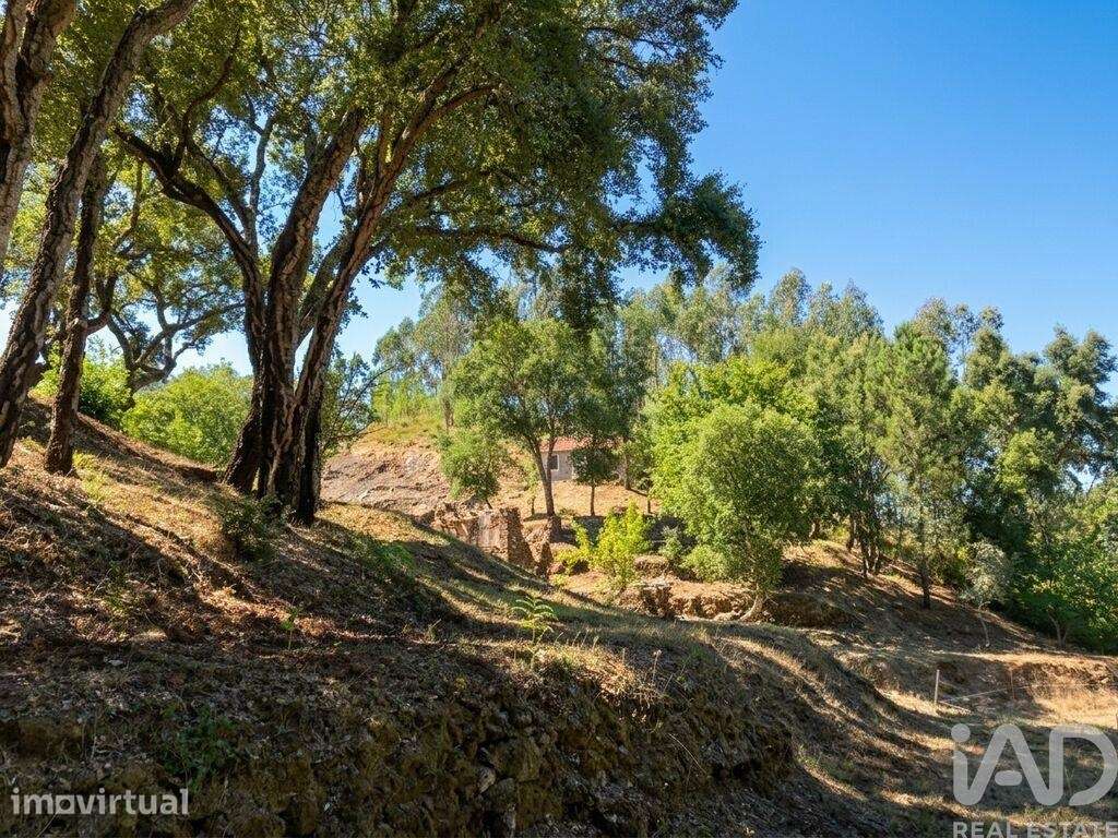 Quinta em Castelo - Grande imagem: 2/40