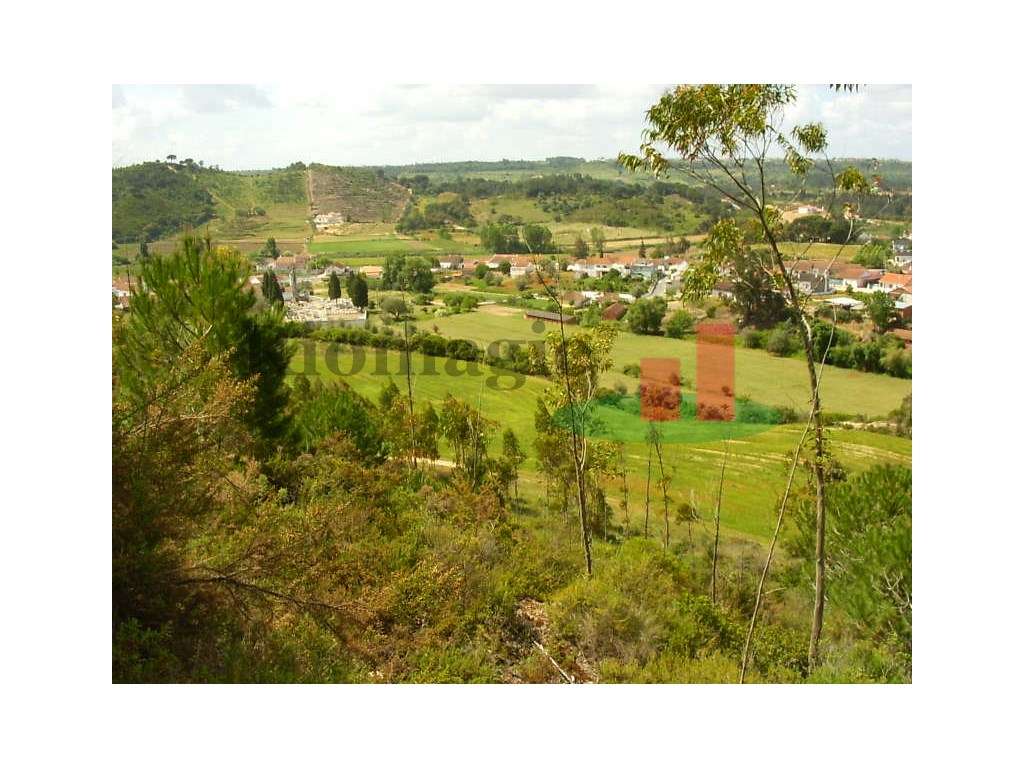 Terreno São João da Ribeira***RIOMAGIC*** - Grande imagem: 2/32